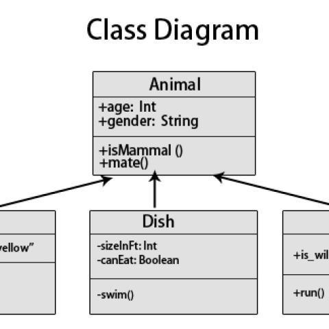 Class Diagram là gì? Tất tần tật về cách thiết kế và sử dụng Class Diagram