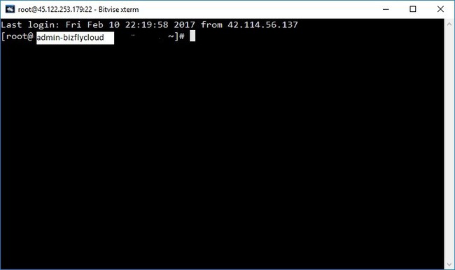 Bitvise SSH client là gì? Cài đặt và sử dụng Bitvise SSH Client để quản lý dữ liệu VPS - Ảnh 4.