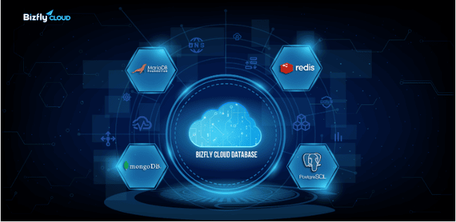Database hosting là gì? - Ảnh 2.