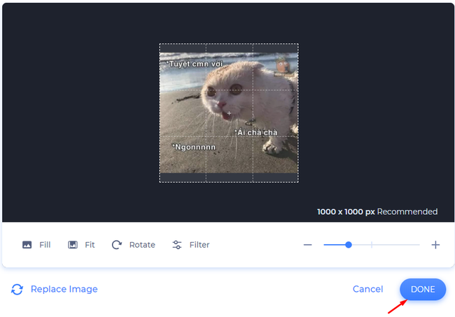 Hướng dẫn cách làm video intro trên RenderForest đơn giản - Ảnh 8.