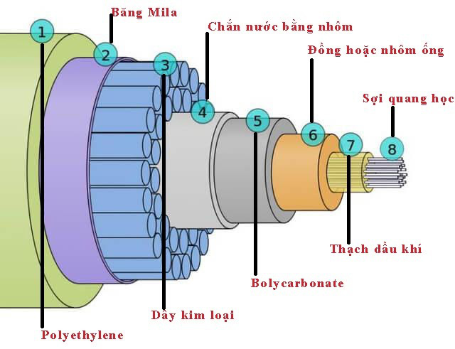 Cáp quang biển là gì? Đặc điểm và vai trò của cáp quang biển đối với hệ thống mạng Internet toàn cầu - Ảnh 1.