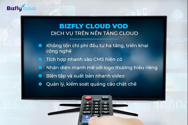 Sử dụng VoD trong các dịch vụ OTT như thế nào? - Ảnh 2.