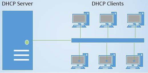 Các trạng thái trong quá trình DHCP (state transition) - Ảnh 2.