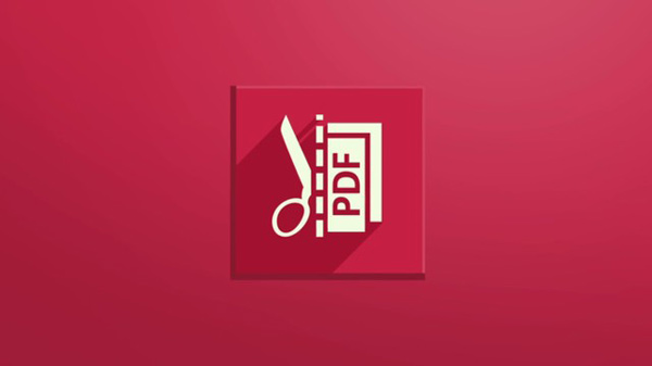 PDF File Merger Splitter sở hữu khả năng ghép file nhanh chóng, mượt mà
