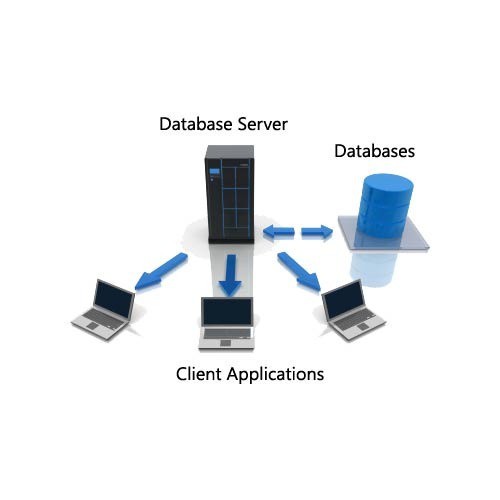 Database server là gì? Chức năng, hoạt động và lợi ích của Database server - Ảnh 1.