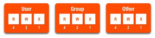 Bó tay với Linux nếu không biết đến lệnh chmod - Ảnh 1.