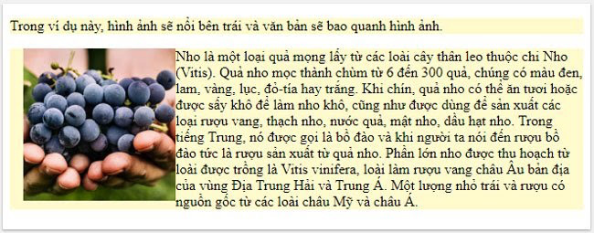 Thuộc tính Float và Clear trong CSS - Ảnh 2.