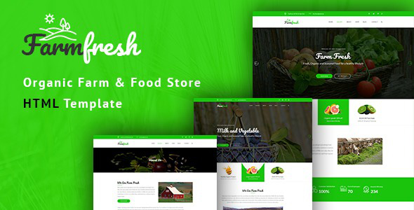 Template là gì? Giải pháp để thiết kế website nhanh chóng, tiết kiệm và hiệu quả - Ảnh 1.