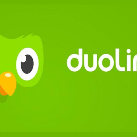 Hướng dẫn tải, cài đặt, đăng ký tài khoản Duolingo trên máy tính