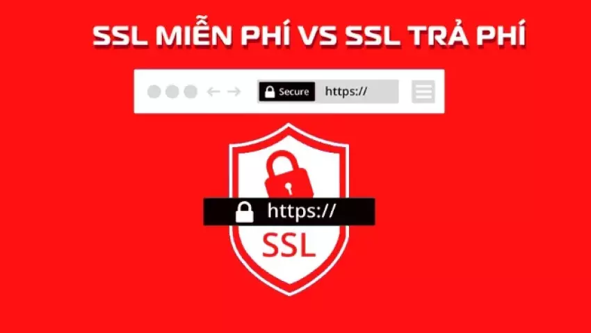 SSL miễn phí và trả phí – Đâu là lựa chọn thông minh?