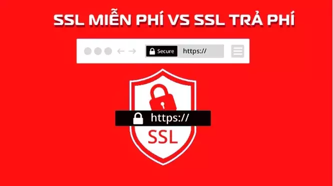 SSL miễn phí và trả phí – Đâu là lựa chọn thông minh?